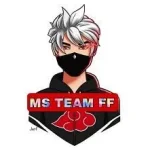 MS Team FF Injector